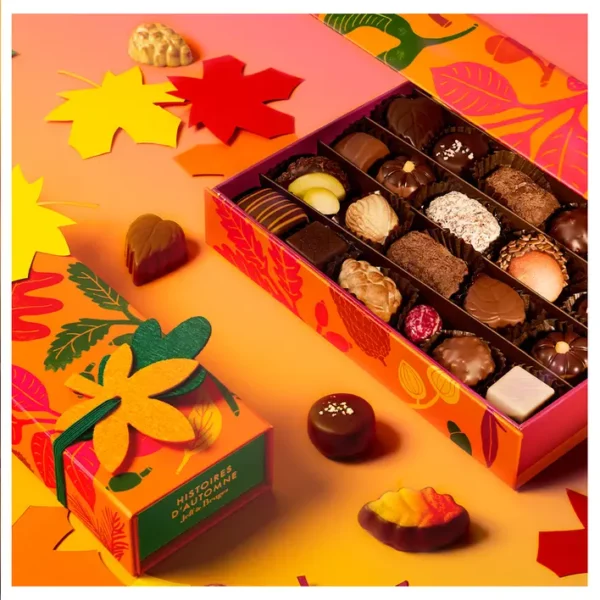 Grande boite chocolats d’automne – 400 g – Image 3