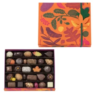 Grande boite chocolats d’automne – 400 g